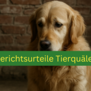 Golden Retriever sitzt ruhig vor Backsteinwand neben Richterhammer – Symbolbild für Hundequälerei, aktuelle Gerichtsurteile zu Tierquälerei, Schutzrechte für Hunde und juristische Konsequenzen bei Misshandlung von Haustieren.