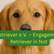 ProRetriever verein